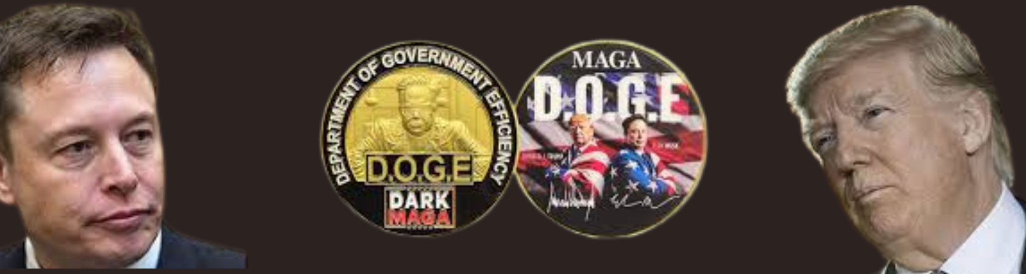 What trumpmuskallocations is all about